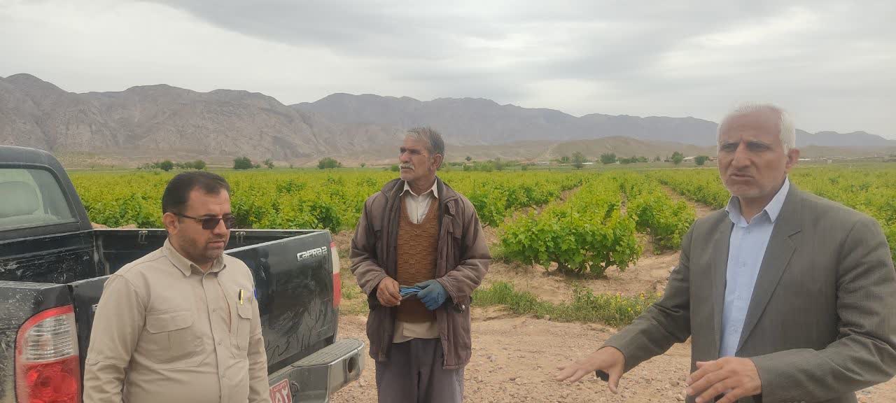 #بازدید اکیپ ارزیابی خسارات از اراضی کشاورزی سیل زده شهرستان